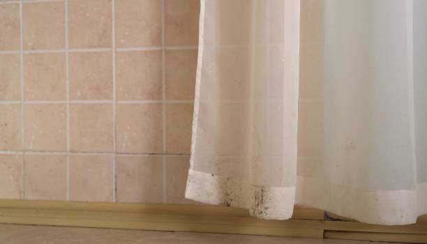 Best Mold Remediation for Healthcare Facilities  in Koloa, HI