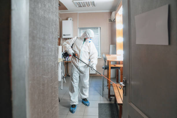 Best Forensic Mold Investigation  in Koloa, HI